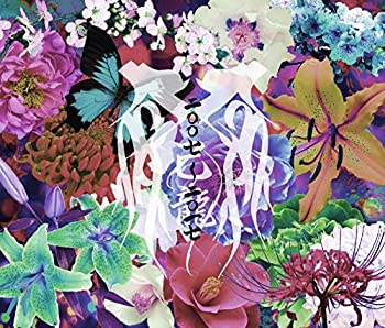 【中古】 二〇〇七~二〇一七【B:通常盤】