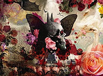 乐天商城 - 【中古】 FALLING Ultimate Edition (CD+DVD初回限定盤)