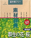 【中古】 素材辞典 Vol.20 群生の花 桜編