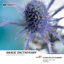 樂天商城 - 【中古】 イメージ ディクショナリー Vol.67 花の接写