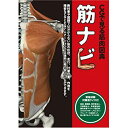 楽天AJIMURA-SHOP【中古】 CGで見る筋肉図典 筋ナビ1.0 資格試験対策用クイズ付