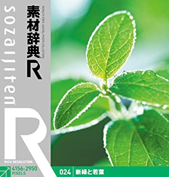 【中古】 素材辞典 R アール 024 新緑と若葉