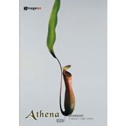 【中古】 アテナ Vol.29 花姿