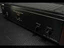 【中古】 SONY TA-N110 ステレオパワーアンプ