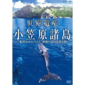 【中古】 世界遺産 小笠原諸島 東洋のガラパゴス 神秘の島々を巡る旅【NHKスクエア限定商品】