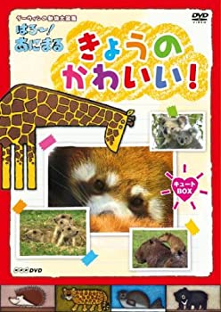 楽天AJIMURA-SHOP【中古】 NHK DVD ダーウィンの動物大図鑑 はろ~!あにまる きょうのかわいい! キュートBOX