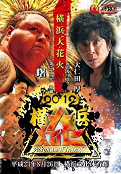 【中古】 PROWRESTLING ZERO1~2012横浜大花火~ [DVD]
