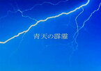 【中古】 【映画パンフレット】 青天の霹靂 監督 劇団ひとり キャスト 大泉洋 柴咲コウ 劇団ひとり 笹野高史 風間杜夫