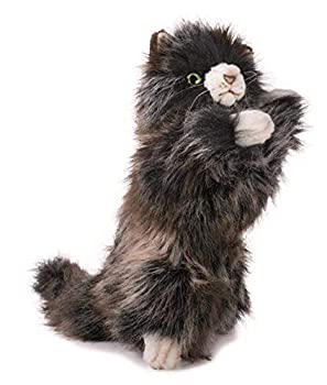 【中古】 コネコ No.5022