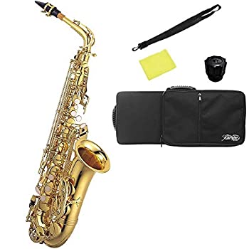 Kaerntner／アルトサックス 楽天市場】Kaerntner Alto Sax アルトサックス KAL62の通販