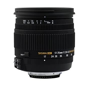 【中古】 シグマ 17-7mm F2.8-4.5 DC MACRO HSM ニコン用