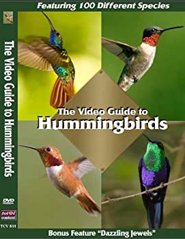 【中古】 Video Guide to Hummingbirds [DVD] [輸入盤]