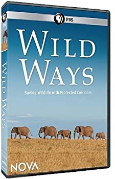 【中古】 Nova Wild Ways [DVD] [輸入盤]