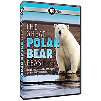 【中古】 Great Polar Bear Feast [DVD] [輸入盤]