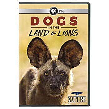 【中古】 Nature Dogs in the Land of Lions [DVD]