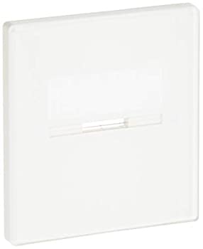 【中古】 東芝ライテック 表示ネーム付スイッチカバーM WDG1641M (WW)