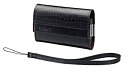【中古】 パナソニック デジタルカメラケース LUMIX ストラップ付 ブラック DMW-CP9-KA