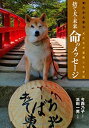 【中古】 東日本大震災・犬たちが避難した学校 捨て犬・未来 命のメッセージ (ノンフィクション・生きるチカラ)