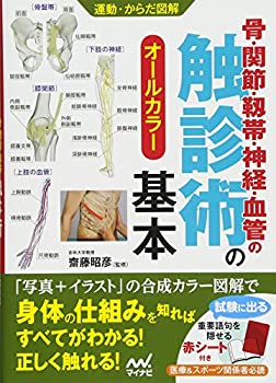 樂天商城 - 【中古】 運動・からだ図解 骨・関節・靱帯・神経・血管の触診術の基本