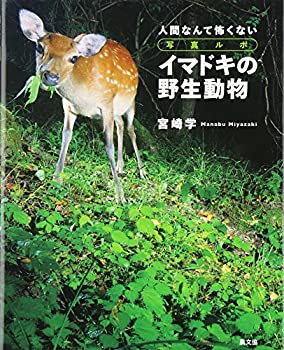 【中古】 写真ルポ イマドキの野生動物—人間なんて怖くない