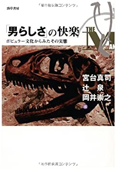  「男らしさ」の快楽—ポピュラー文化からみたその実態