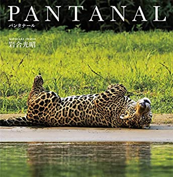 【中古】 PANTANAL パンタナール