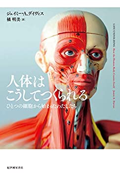 【中古】 人体はこうしてつくられる ひとつの細胞から始まったわたしたち