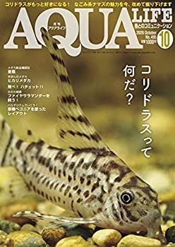 š 饤 2020ǯ 10  ɥ饹äƤʤ?
