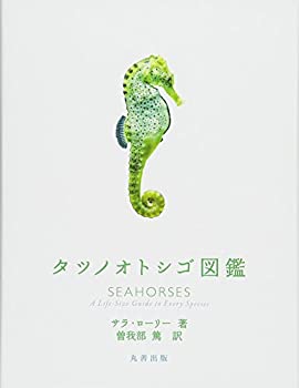 樂天商城 - 【中古】 タツノオトシゴ図鑑