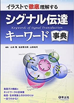 【中古】 イラストで徹底理解する シグナル伝達キーワード事典