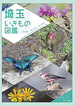 【状態】中古品（非常に良い）【メーカー名】メイツ出版【メーカー型番】【ブランド名】メイツ出版掲載画像は全てイメージです。実際の商品とは色味等異なる場合がございますのでご了承ください。【 ご注文からお届けまで 】・ご注文　：ご注文は24時間受け付けております。・注文確認：当店より注文確認メールを送信いたします。・入金確認：ご決済の承認が完了した翌日よりお届けまで2〜7営業日前後となります。　※海外在庫品の場合は2〜4週間程度かかる場合がございます。　※納期に変更が生じた際は別途メールにてご確認メールをお送りさせて頂きます。　※お急ぎの場合は事前にお問い合わせください。・商品発送：出荷後に配送業者と追跡番号等をメールにてご案内致します。　※離島、北海道、九州、沖縄は遅れる場合がございます。予めご了承下さい。　※ご注文後、当店よりご注文内容についてご確認のメールをする場合がございます。期日までにご返信が無い場合キャンセルとさせて頂く場合がございますので予めご了承下さい。【 在庫切れについて 】他モールとの併売品の為、在庫反映が遅れてしまう場合がございます。完売の際はメールにてご連絡させて頂きますのでご了承ください。【 初期不良のご対応について 】・商品が到着致しましたらなるべくお早めに商品のご確認をお願いいたします。・当店では初期不良があった場合に限り、商品到着から7日間はご返品及びご交換を承ります。初期不良の場合はご購入履歴の「ショップへ問い合わせ」より不具合の内容をご連絡ください。・代替品がある場合はご交換にて対応させていただきますが、代替品のご用意ができない場合はご返品及びご注文キャンセル（ご返金）とさせて頂きますので予めご了承ください。【 中古品ついて 】中古品のため画像の通りではございません。また、中古という特性上、使用や動作に影響の無い程度の使用感、経年劣化、キズや汚れ等がある場合がございますのでご了承の上お買い求めくださいませ。◆ 付属品について商品タイトルに記載がない場合がありますので、ご不明な場合はメッセージにてお問い合わせください。商品名に『付属』『特典』『○○付き』等の記載があっても特典など付属品が無い場合もございます。ダウンロードコードは付属していても使用及び保証はできません。中古品につきましては基本的に動作に必要な付属品はございますが、説明書・外箱・ドライバーインストール用のCD-ROM等は付属しておりません。◆ ゲームソフトのご注意点・商品名に「輸入版 / 海外版 / IMPORT」と記載されている海外版ゲームソフトの一部は日本版のゲーム機では動作しません。お持ちのゲーム機のバージョンなど対応可否をお調べの上、動作の有無をご確認ください。尚、輸入版ゲームについてはメーカーサポートの対象外となります。◆ DVD・Blu-rayのご注意点・商品名に「輸入版 / 海外版 / IMPORT」と記載されている海外版DVD・Blu-rayにつきましては映像方式の違いの為、一般的な国内向けプレイヤーにて再生できません。ご覧になる際はディスクの「リージョンコード」と「映像方式(DVDのみ)」に再生機器側が対応している必要があります。パソコンでは映像方式は関係ないため、リージョンコードさえ合致していれば映像方式を気にすることなく視聴可能です。・商品名に「レンタル落ち 」と記載されている商品につきましてはディスクやジャケットに管理シール（値札・セキュリティータグ・バーコード等含みます）が貼付されています。ディスクの再生に支障の無い程度の傷やジャケットに傷み（色褪せ・破れ・汚れ・濡れ痕等）が見られる場合があります。予めご了承ください。◆ トレーディングカードのご注意点トレーディングカードはプレイ用です。中古買取り品の為、細かなキズ・白欠け・多少の使用感がございますのでご了承下さいませ。再録などで型番が違う場合がございます。違った場合でも事前連絡等は致しておりませんので、型番を気にされる方はご遠慮ください。