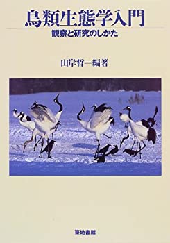 製品画像：28位