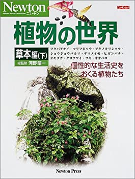 Rakuten - 【中古】 植物の世界 (草本編下) (ニュートンムック)