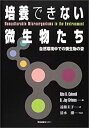 【中古】 培養できない微生物たち 自然環境中の微生物の姿