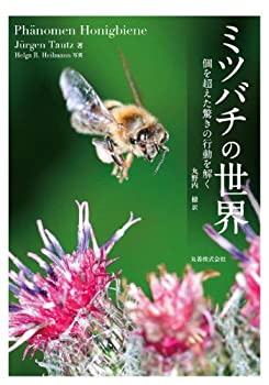 【中古】 ミツバチの世界 個を超えた驚きの行動を解く