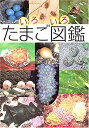中古品(非常に良い)