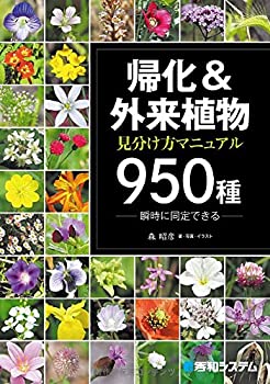 製品画像：28位