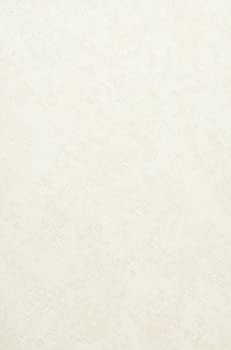 【中古】 イタリアにおける均等待遇原則の生成と展開 均等待遇原則と私的自治の相克をめぐって