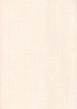 【中古】 プラズマイオン源質量分析 (日本分光学会 測定法シリーズ)