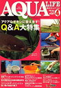 中古品(非常に良い)