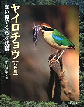【中古】 ヤイロチョウ 深い森でくらす妖精 (地球ふしぎはっけんシリーズ)