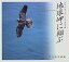【中古】 地球岬に翔ぶ 「ポロ・チケウエ」とハヤブサの王国 熊谷勝写真集 (フォトルピナス) 4,480円