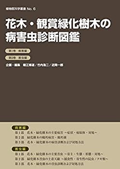 製品画像：28位