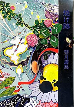 【中古】 焼け跡(3.0)