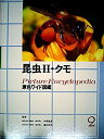【中古】 昆虫2・クモ (原色ワイド図鑑)