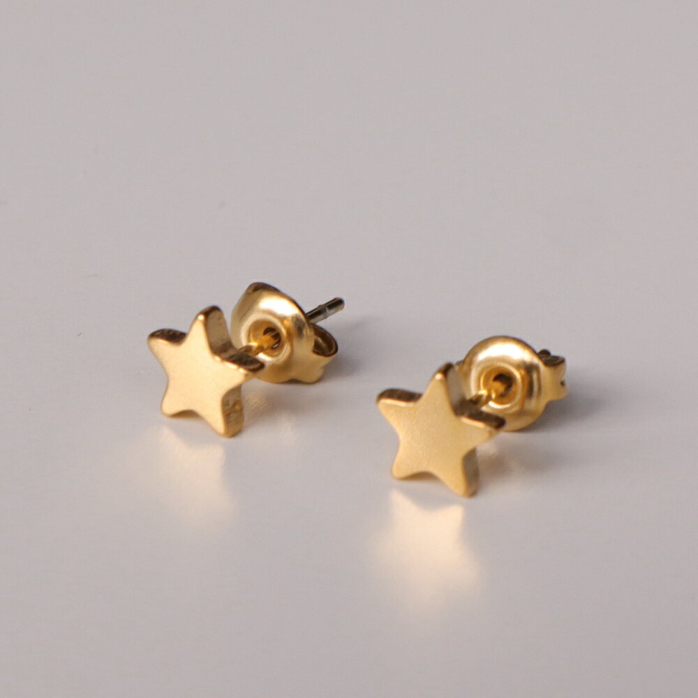 楽天AJIRO ACCESSORY【リニューアル】　P004 ミニピアス　星　スター　ステンレス　ゴールド　シルバー　小ぶり　華奢　可愛い　おしゃれ　ピアス　イヤリング　アレルギー対応　ギフト　プレゼント　カジュアル　シンプル　オフィス　ジュエリー　ajiro