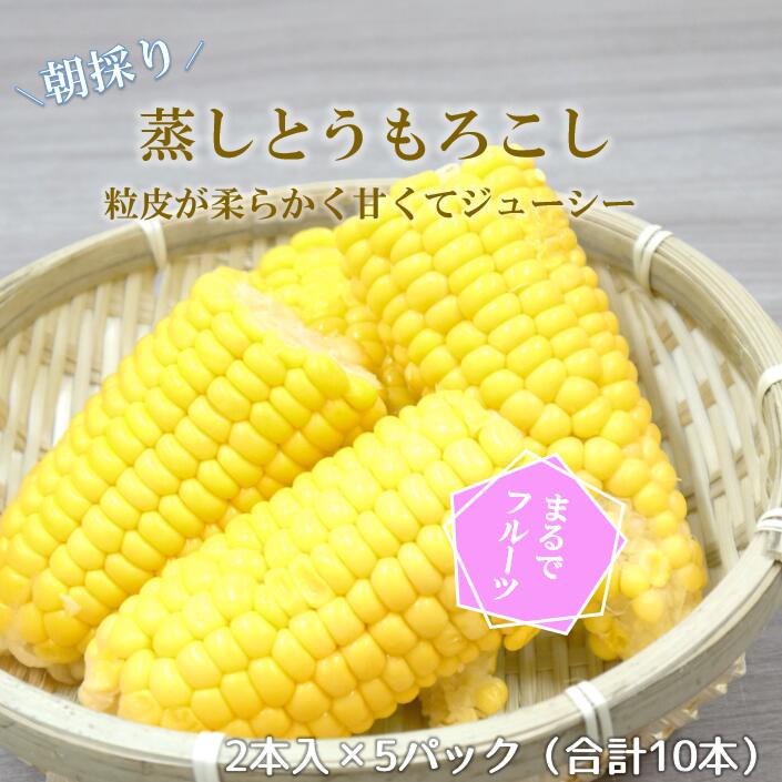 【送料無料】 蒸しとうもろこし (2本×5P)| 蒸し とうもろこし トウモロコシ もろこし スイートコーン コーン まるで フルーツ 味来 夏祭り 茨城県産 国産 朝採り ブランドとうもろこし 冷凍 真空 バーベキュー BBQ シャキシャキ 甘い 粒皮 やわらかい 茹で いつでも おやつ