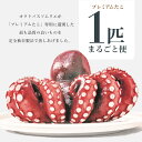 【送料無料】 プレミアム蒸しタコ (1尾) 頭付き チルド | マダコ 真だこ 真蛸 蛸 タコ たこ 蒸したこ ボイル 真だこ 真タコ お取り寄せ 海鮮 海産物...