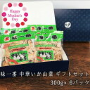 珍味セット 【送料無料】 味一番 中華いか山菜 (300g×6P) ギフトセット | 中華風 イカ 山菜 おつまみセット イカ中華 いか中華 ギフト プレゼント おつまみ 珍味セット 中華いか 惣菜 ご飯のお供 詰め合わせ 誕生日プレゼント お土産 入学 母の日 お母さん 母の日ギフト ありがとう