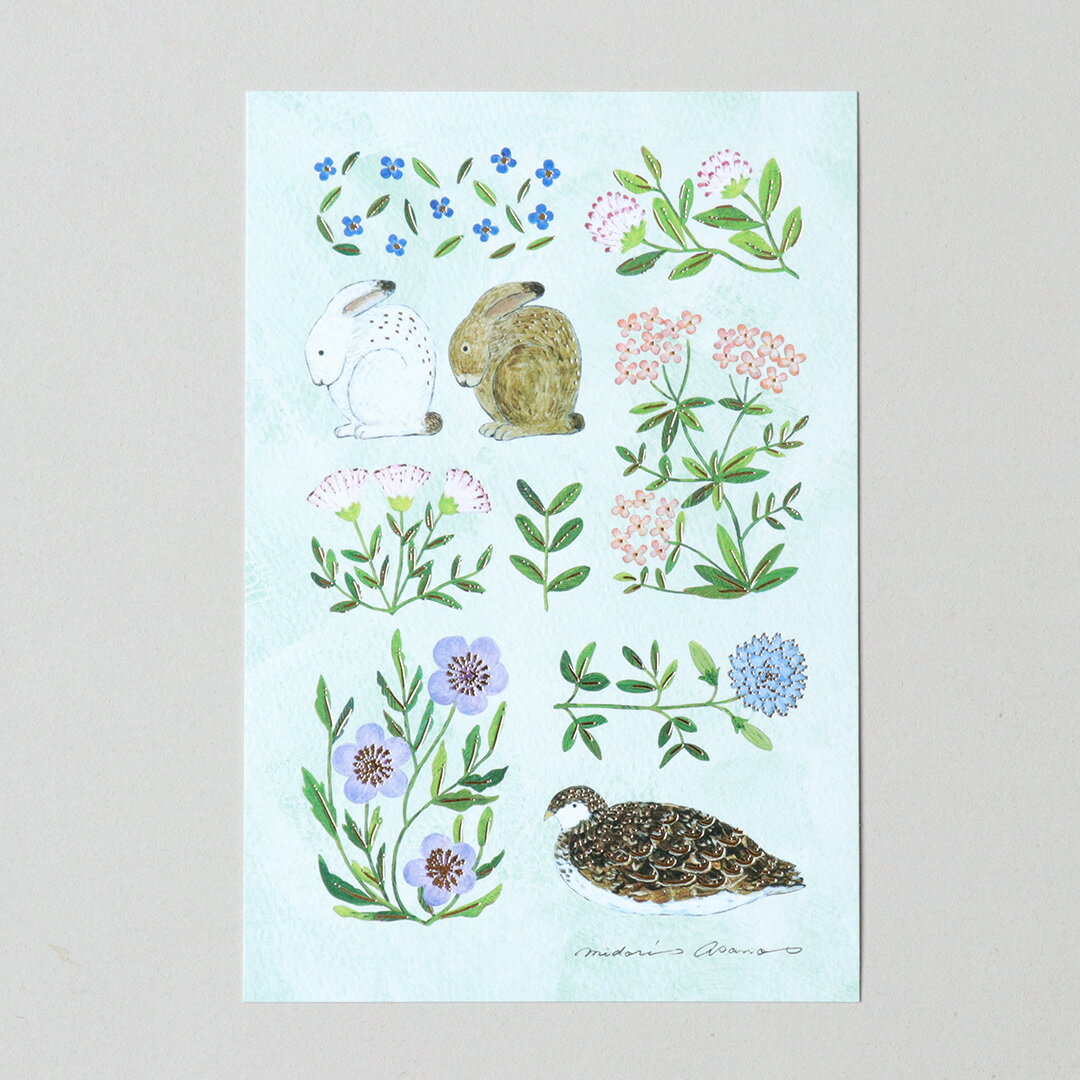 箔押しポストカード 浅野みどり [ fleur ] はがき 絵葉書 ポストカード イラスト 雑貨 文房具 ステーシ..